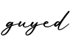 单词guyed书写