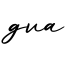 单词gva书写