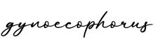 单词gynoecophorus书写