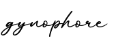 单词gynophore书写
