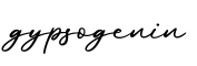 单词gypsogenin书写