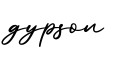 单词gypson书写