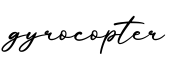 单词gyrocopter书写