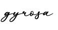 单词gyrosa书写