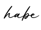 单词habe书写