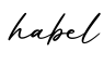 单词habel书写
