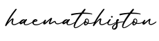 单词haematohiston书写
