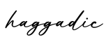 单词haggadic书写