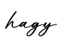 单词hagy书写