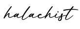 单词halachist书写