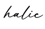 单词halic书写