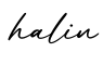 单词halin书写