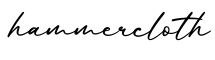 单词hammercloth书写