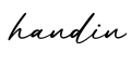 单词handin书写