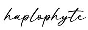 单词haplophyte书写