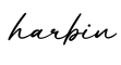 单词harbin书写