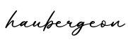 单词haubergeon书写