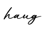 单词haug书写