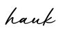 单词hauk书写