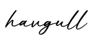 单词havgull书写