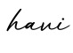 单词havi书写