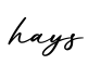 单词hays书写