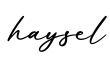单词haysel书写