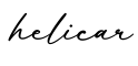 单词helicar书写