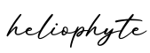 单词heliophyte书写