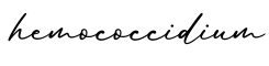 单词hemococcidium书写