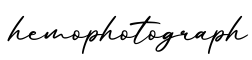 单词hemophotograph书写