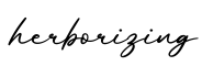 单词herborizing书写