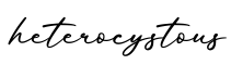 单词heterocystous书写