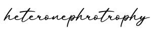 单词heteronephrotrophy书写