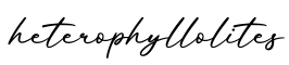 单词heterophyllolites书写