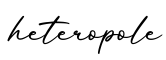 单词heteropole书写