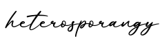 单词heterosporangy书写