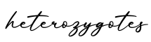 单词heterozygotes书写