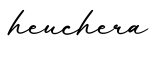 单词heuchera书写