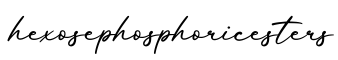 单词hexosephosphoricesters书写
