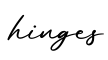 单词hinges书写