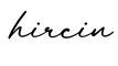单词hircin书写