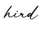 单词hird书写