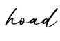 单词hoad书写