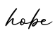 单词hobe书写