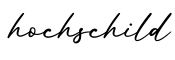 单词hochschild书写