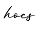 单词hocs书写