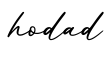 单词hodad书写