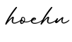 单词hoehn书写
