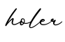 单词holer书写